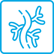 Cirurgia Vascular e Endovascular