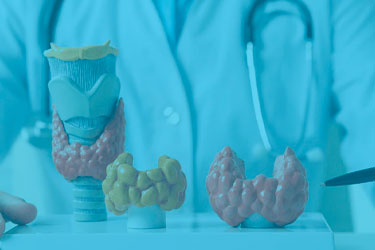 Endocrinologia no HCI – Menopausa, Tireoide, Estilo de Vida e Saúde LGBTQIA+